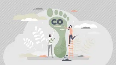 Carbon footprint as CO2 emission pollution amount in air tiny person concept. Dioxide greenhouse gases as climate change reason vector illustration. Foot symbol as industrial toxic effect warning.