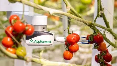 Cosechadoras robóticas y empresas de tecnología agrícola para interiores unen fuerzas para centrarse en la seguridad alimentaria