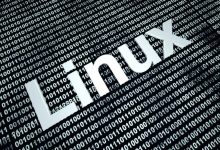 Usuarios de Linux: Estos administradores de archivos basados ​​en texto son gemas pasadas por alto