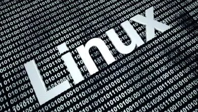 Usuarios de Linux: Estos administradores de archivos basados ​​en texto son gemas pasadas por alto