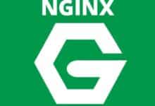 Cómo instalar NGINX en el servidor CentOS