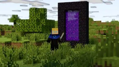 Jun 30, 2020: Minecraft player in front of a portal holding a sword in his arm
