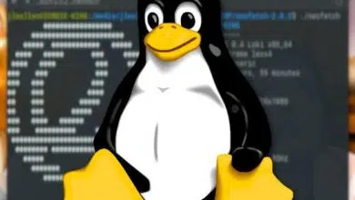 Cómo obtener toda la información que necesita sobre su máquina Linux con un solo comando