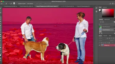 La nueva función Elegir temas de Photoshop muestra el poder y la eficiencia de la IA