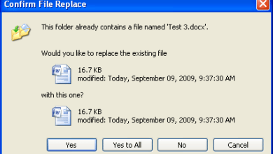 TR Dojo Challenge: ¿Cómo puedes decir "no" a todos los reemplazos al copiar archivos en Windows XP?
