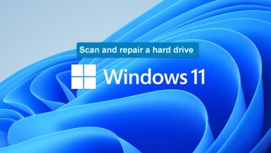Scan and repair a hard drive Windows 11