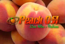 Peach OSI: una versión de XFCE en la que puedes sumergirte directamente