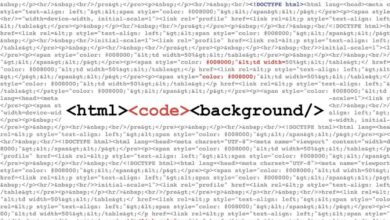 Realice el nuevo curso Coding Dojo en línea para Python, Java, MERN y más