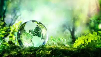 Las 5 empresas tecnológicas más ecológicas de 2019
