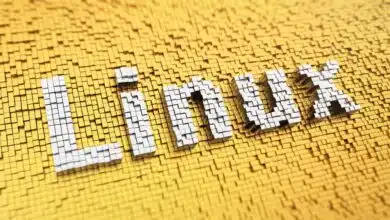 Linux 101: Desmitificando la estructura de directorios de Linux