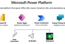Microsoft Power Platform y desarrollo Low-Code/No-Code: aprovechar al máximo Fusion Teams