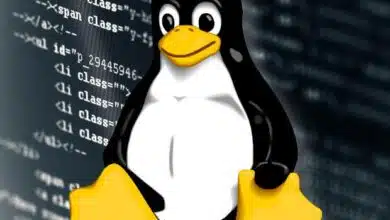 Cómo montar un directorio de inicio de Linux cifrado para rescatar datos
