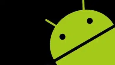Android Pie (edición Go): todo lo que los profesionales de negocios deben saber