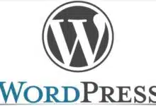WordPress: una guía para hombres inteligentes